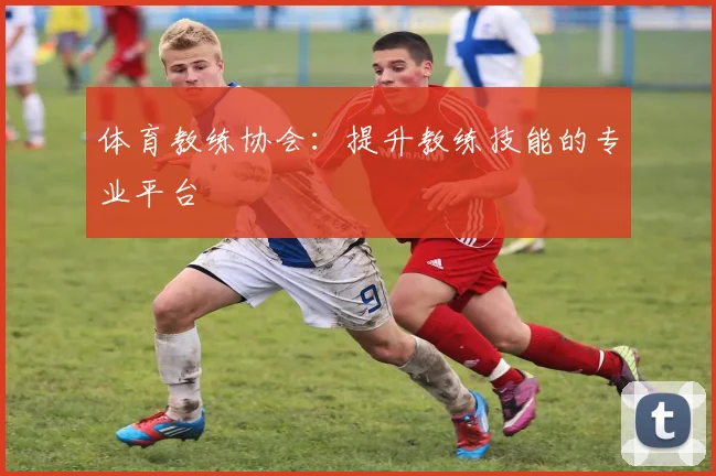 体育教练协会：提升教练技能的专业平台