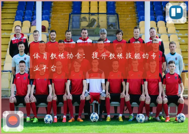 体育教练协会:提升教练技能的专业平台